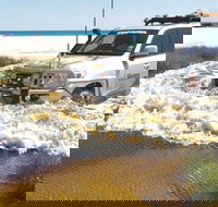 Full-Day Moreton Island 4x4 Sightseeing Tour - Restaurant Canberra