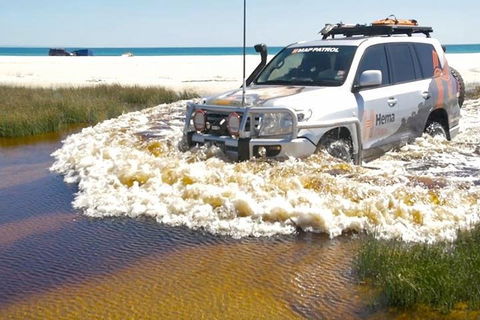 Full-Day Moreton Island 4x4 Sightseeing Tour - Restaurant Canberra 0