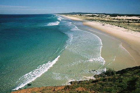 Full-Day Moreton Island 4x4 Sightseeing Tour - Restaurant Canberra 2