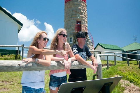 Full-Day Moreton Island 4x4 Sightseeing Tour - Restaurant Canberra 3