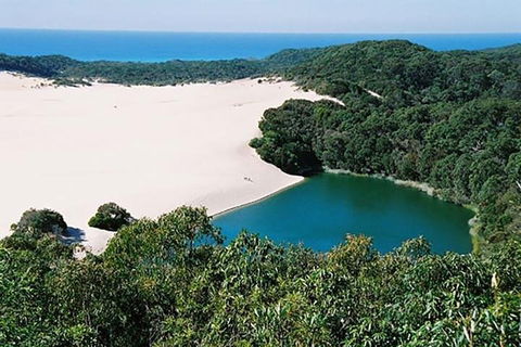 Full-Day Moreton Island 4x4 Sightseeing Tour - Restaurant Canberra 5