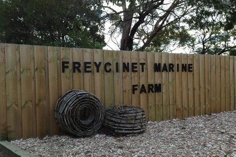 Active Day Tour One-Way From Launceston To Hobart Via Wineglass Bay - Restaurant Canberra 3