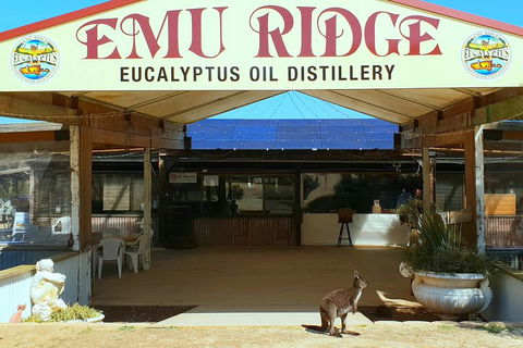 Full-Day Kangaroo Island Safari From Penneshaw - Restaurant Canberra 2