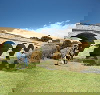 Bonorong Wildlife Park and Richmond Afternoon Tour from Hobart - Restaurant Canberra