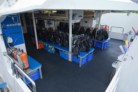 Silverswift Outer Great Barrier Reef Dive And Snorkel Cruise From Cairns - Restaurant Canberra 0