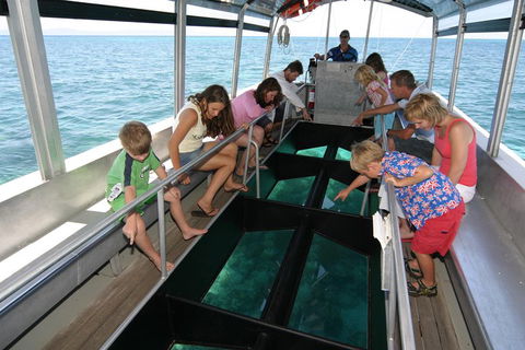 Green Island Discovery Including Glass Bottom Boat Tour Departing Cairns - Restaurant Canberra 5