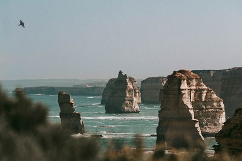 Half-Day Or Full-Day Tour With Private Guide From Melbourne - Restaurant Canberra 0