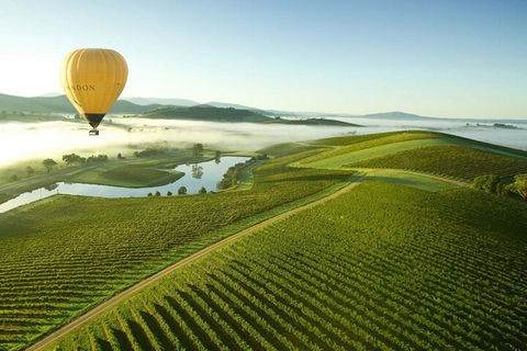 Half-Day Or Full-Day Tour With Private Guide From Melbourne - Restaurant Canberra 4