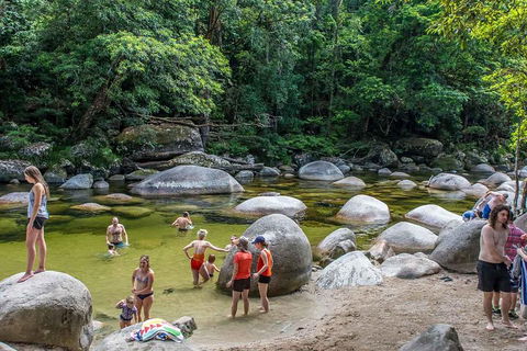 Cape Tribulation, Mossman Gorge, And Daintree Rainforest Day Trip From Cairns Or Port Douglas - Restaurant Canberra 1