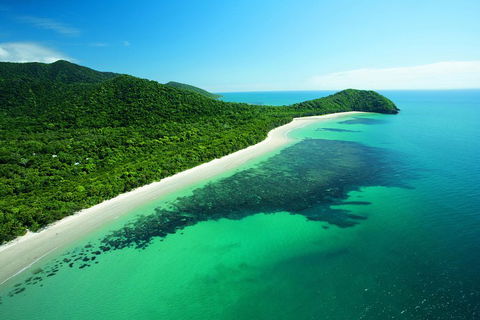 Cape Tribulation, Mossman Gorge, And Daintree Rainforest Day Trip From Cairns Or Port Douglas - Restaurant Canberra 2