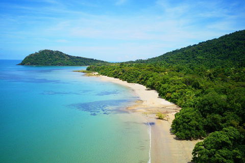 Cape Tribulation, Mossman Gorge, And Daintree Rainforest Day Trip From Cairns Or Port Douglas - Restaurant Canberra 5