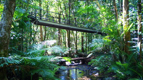 Double Pack-Ancient Rainforest And Waterfalls! - Restaurant Canberra 0