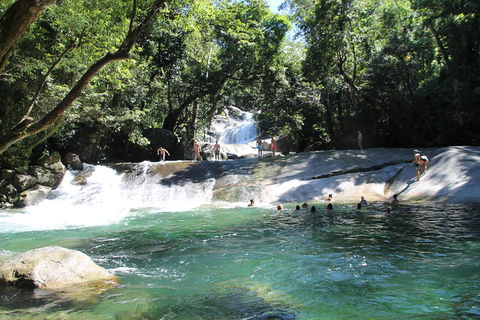 Double Pack-Ancient Rainforest And Waterfalls! - Restaurant Canberra 2