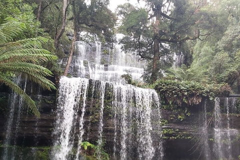 6-Day Hearty Tasmania Tour (Tasmania In A Circle) - Restaurant Canberra 0