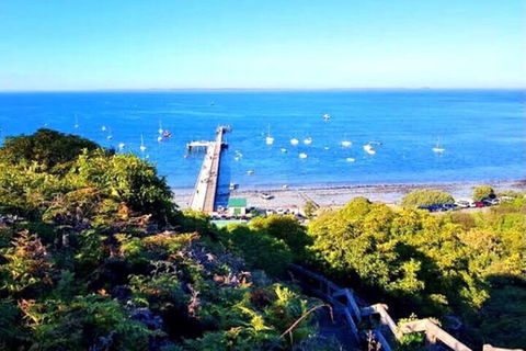Mornington Peninsula Sightseeing Tour For 2-6 Guests. - Restaurant Canberra 1