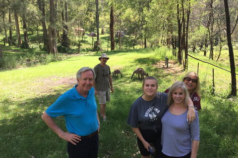 Small Group Blue Mountains Day Tour From Sydney - Restaurant Canberra 1