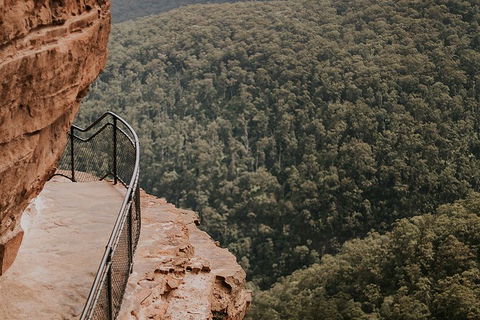 Private Blue Mountains And Wildlife Park Tour From Sydney With Barbecue Lunch - Restaurant Canberra 5