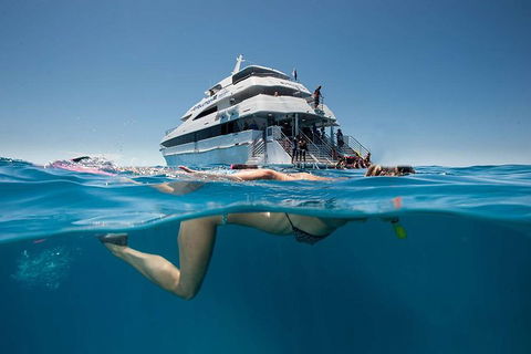 3 Day Great Barrier Reef, Daintree Rainforest And Outback Chillagoe Tour - Restaurant Canberra 0