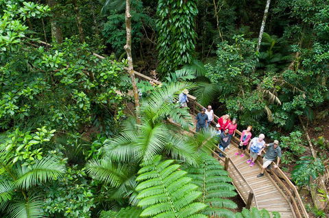 2 Day Daintree Rainforest, Cape Tribulation And Outback Chillagoe Tour - Restaurant Canberra 3