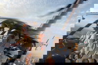 Melbourne and Port Phillip Bay Helicopter Tour