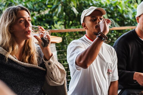 Full-Day Tour To Byron Bay Best Food And Drink Spots - Restaurant Canberra 1