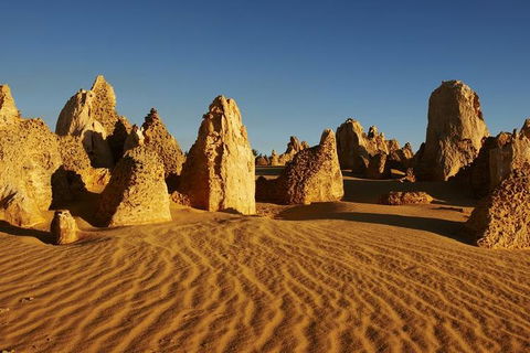 Full Day Pinnacle Desert Explorer From Perth Including Hillarys And Lancelin Sandboarding - Restaurant Canberra 3