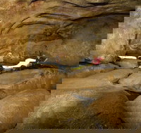 2-Day Wave Rock York Wildflowers  Aboriginal Experience - Restaurant Canberra