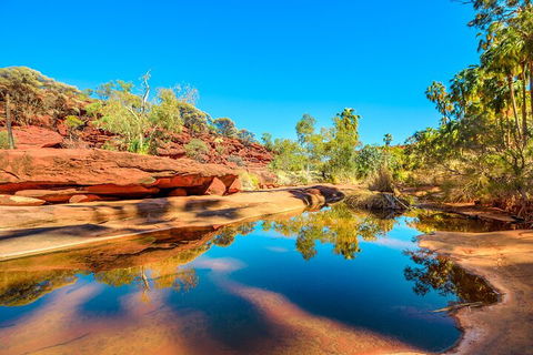 7-Day Guided Tour Of Alice Springs With Accommodation Included - Restaurant Canberra 1