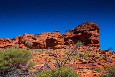 7-Day Guided Tour Of Alice Springs With Accommodation Included - Restaurant Canberra 4