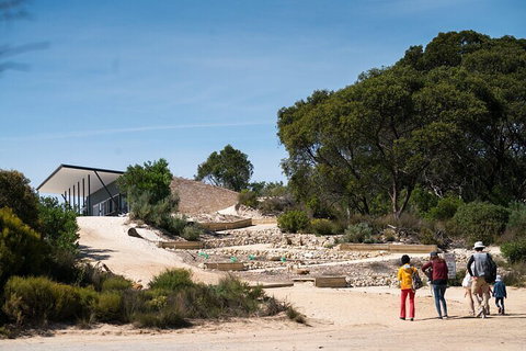 2-Hour Koala Walking Tour In Kangaroo Island - Restaurant Canberra 3