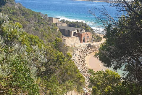 Fort Nepean And Quarantine Station Tour - Restaurant Canberra 4