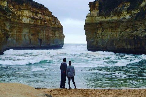 Great Ocean Road Small-Group Ecotour From Melbourne - Restaurant Canberra 1
