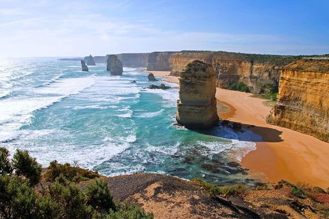 Great Ocean Road Small-Group Ecotour From Melbourne - Restaurant Canberra 2