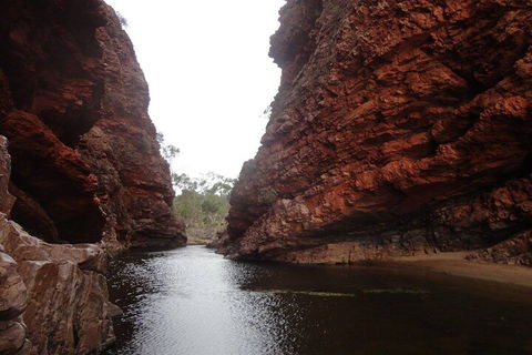 West MacDonnell Ranges Half - Day Tour - Restaurant Canberra 4