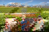Yarra Valley Wine and Winery Tour from Melbourne