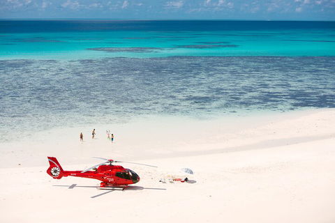 Private Helicopter Tour: Reef Island Snorkeling And Gourmet Picnic Lunch - Restaurant Canberra 2