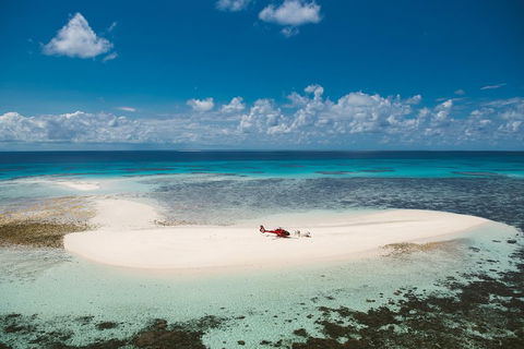 Private Helicopter Tour: Reef Island Snorkeling And Gourmet Picnic Lunch - Restaurant Canberra 4