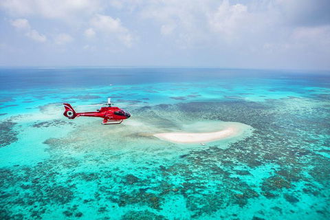 Private Helicopter Tour: Reef Island Snorkeling And Gourmet Picnic Lunch - Restaurant Canberra 5