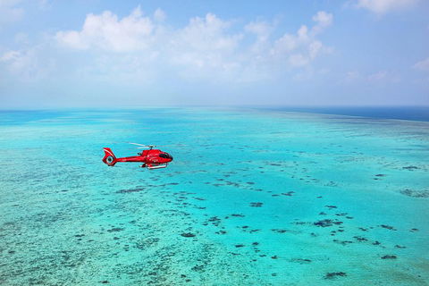 Port Douglas - Cruise And 10 Minute Scenic Flight - Restaurant Canberra 1