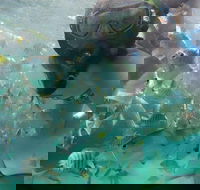 2-Day Moreton Island 4WD Camping Tour from Brisbane