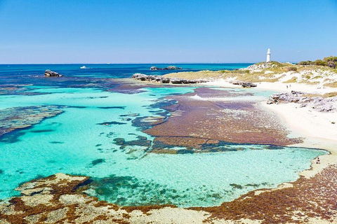 Rottnest Island All-Inclusive Grand Island Tour From Fremantle - Restaurant Canberra 1