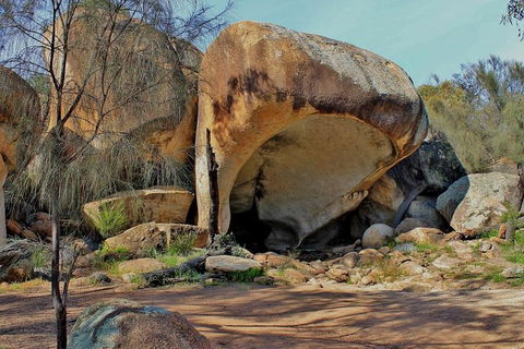 Wave Rock Half Day Air & Ground Tour - Restaurant Canberra 1