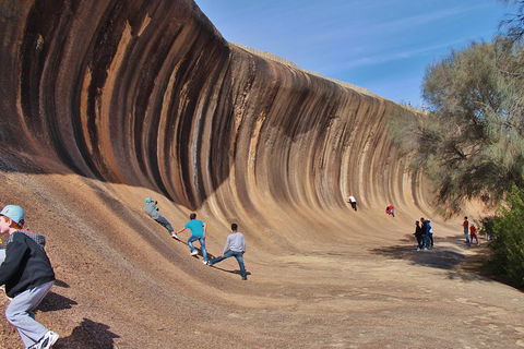 Wave Rock Half Day Air & Ground Tour - Restaurant Canberra 2