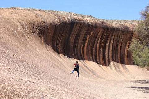 Wave Rock Half Day Air & Ground Tour - Restaurant Canberra 3