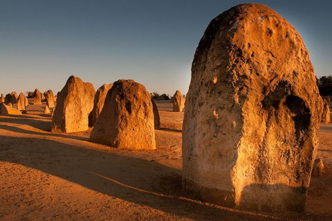 Wave Rock And Pinnacles Air & Ground Tour - Restaurant Canberra 1