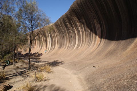 Wave Rock And Pinnacles Air & Ground Tour - Restaurant Canberra 5