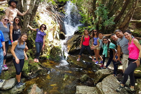 7-Day Super Value Tour Of Tasmania: Explore Tasmania's West And East Coasts - Restaurant Canberra 2