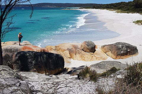 2-Day Tas East Coast Escape Tour Including Bay Of Fires, Wineglass Bay & Devils - Restaurant Canberra 4