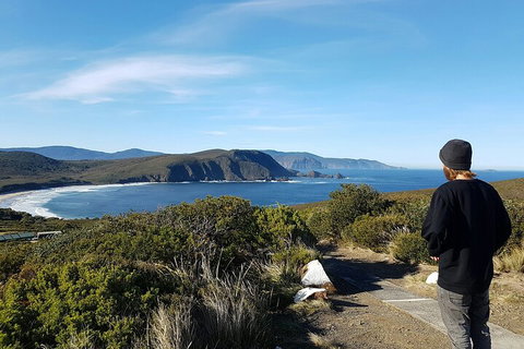 4-Day Fabulous Tasmania Tour: Wineglass Bay, Port Arthur, Devils & Bruny Island - Restaurant Canberra 0