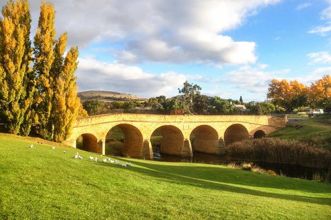 4-Day Fabulous Tasmania Tour: Wineglass Bay, Port Arthur, Devils & Bruny Island - Restaurant Canberra 1